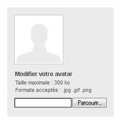 Champ de téléchargement "Modifier votre avatar" complété par les mentions "Taille maximale : 300 ko" et "Format acceptés : jpg, gif, png"