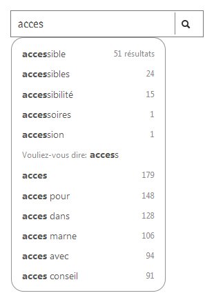 Capture d'un champ de recherche avec la saisie "access" une liste de suggestion affiche 11 propositions contenant le mot access et le nombre de résultat pour chaque proposition.