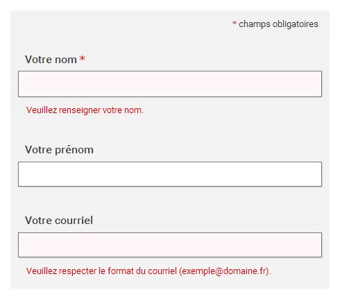 Capture d'un formulaire, champ "Votre nom" suivi de la mention "Veuillez renseigner votre nom", champ "Votre courriel" suivi de la mention "Veuillez respecter le format du couriel (exemple@domaine.fr)"