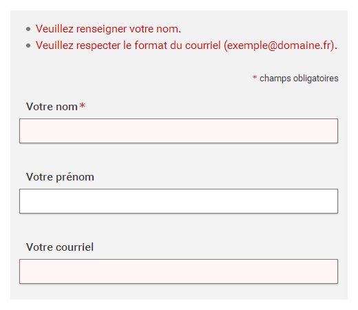 Formulaire précédé d'une liste indiquant "Veuillez renseigner votre nom" et "Veuillez respecter le format du courriel (exemple@domaine.fr).