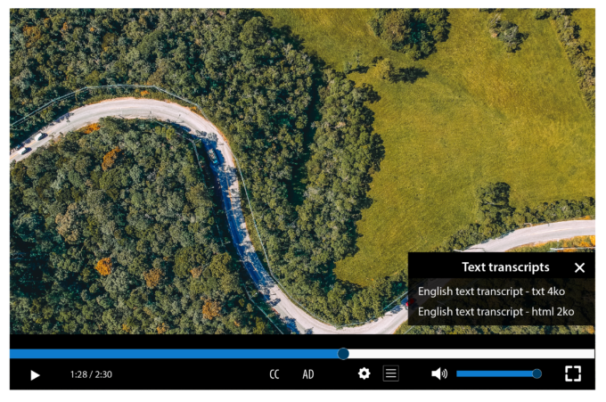 Screenshot of a video player, a transcript button displays a link to the transcript in text format and a link to the transcript in HTML format.
